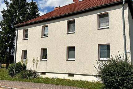 Wohnung Elsteraue - 2 Zimmer, 48 m&sup2;, 300&euro; | Angebot:26490793