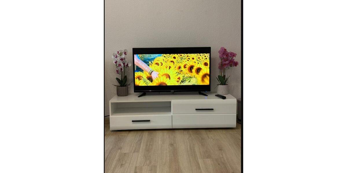 Wohnen auf Zeit Dossenheim - 1 Zimmer, 25 m&sup2;, 850&euro; | Angebot:26257844