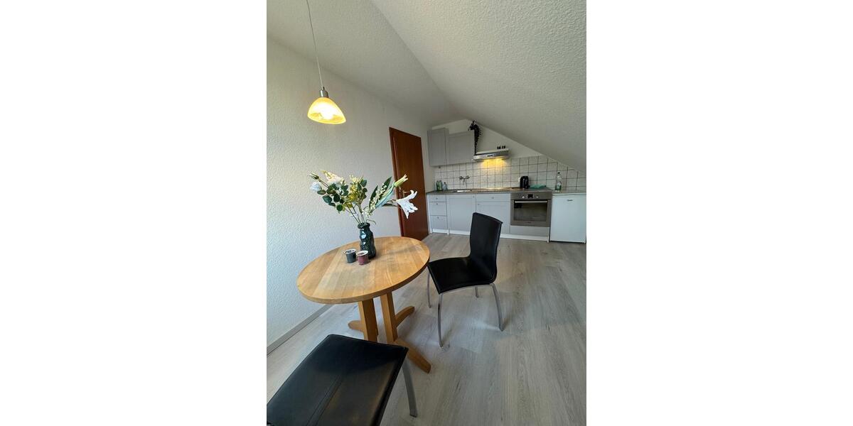 Dachgeschoßwohnung Essen Stadtbezirk VIII - 1 Zimmer, 35 m&sup2;, 555&euro; | Angebot:25162589
