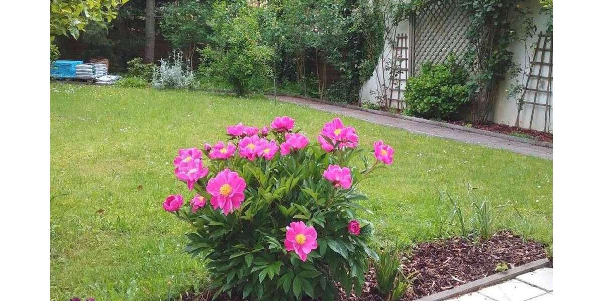 Etagenwohnung Zorneding - 2 Zimmer, 90 m&sup2;, 1.450&euro; | Angebot:26124829