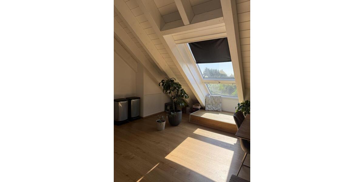 Wohnen auf Zeit Speyer - 2 Zimmer, 94 m&sup2;, 1.500&euro; | Angebot:26660498