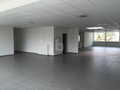 REPRÄSENTATIVE RÄUME MIT LAGEROPTION - Gewerbeobjekt Lörrach | Angebot:25879784