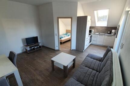 Wohnung Lenting - 2 Zimmer, 50 m&sup2;, 900&euro; | Angebot:27548922