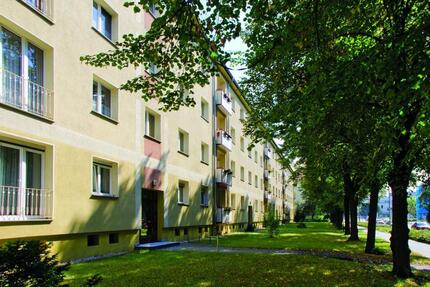 Geräumige 3-Raumwohnung mit Loggia zimmer