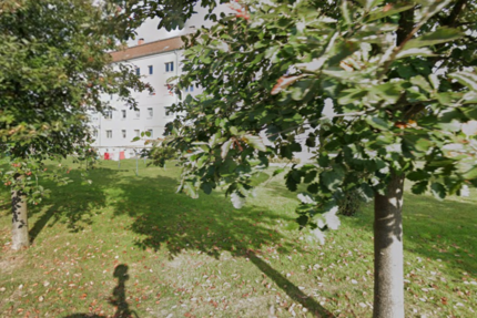 Wohnung Rosenow - 3 Zimmer, 67 m&sup2;, 395&euro; | Angebot:26800009