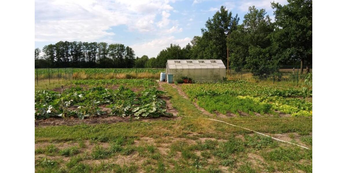 Erdgeschoßwohnung Lewitzrand - 1 Zimmer, 33 m&sup2;, 250&euro; | Angebot:22066242