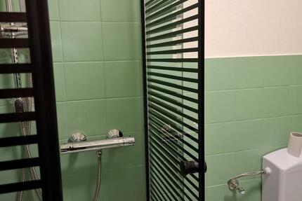 Wohnung Trier Feyen-Weismark - 2 Zimmer, 36 m&sup2;, 430&euro; | Angebot:25169058