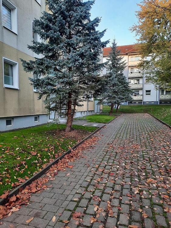 Herein spaziert, in Ihre neuen 4 Wände zimmer