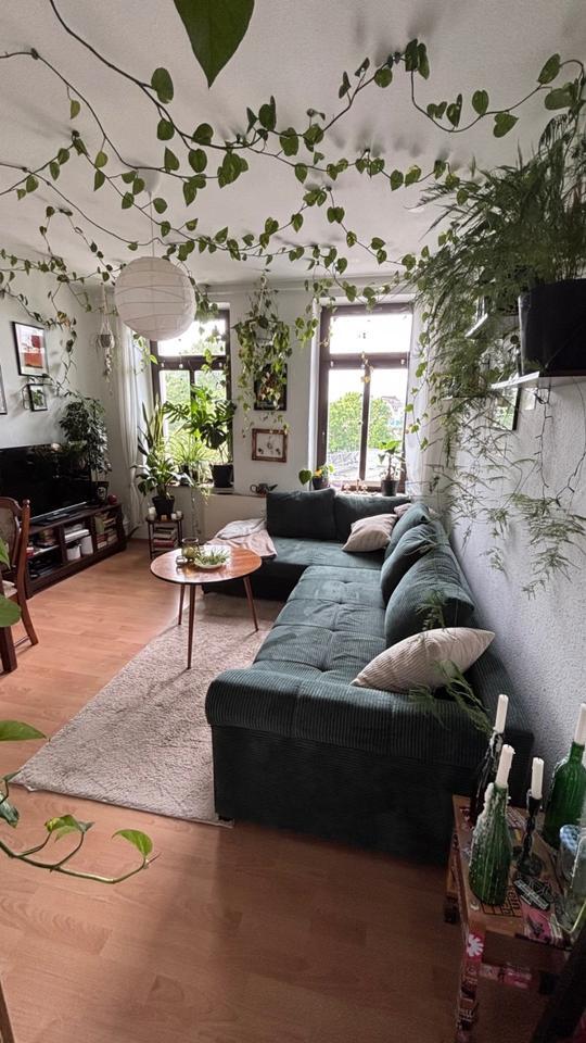 2-Raum-Wohnung zur Zwischenmiete: Grün und Gemütlich