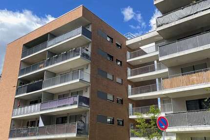 Wohnung zum Mieten in Dresden 520 € 40.75 m² 2 zimmer