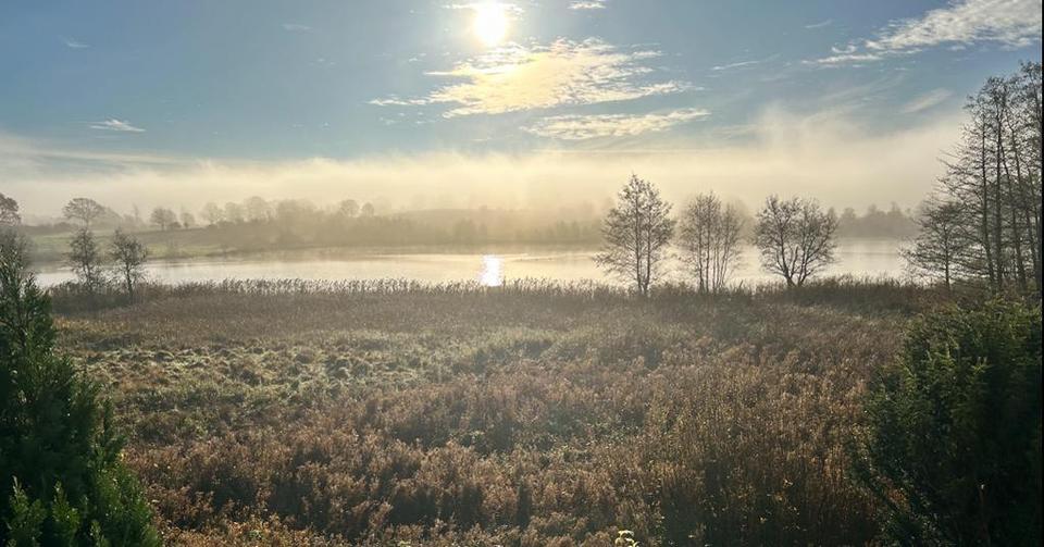 Etagenwohnung Schleswig - 3 Zimmer, 85 m&sup2;, 885&euro; | Angebot:25205009