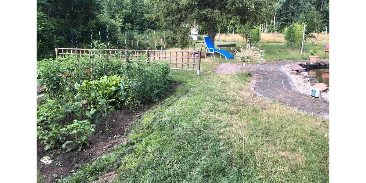 Wohnen auf Zeit Falkenstein/Harz Harz - 2 Zimmer, 45 m&sup2;, 60&euro; | Angebot:24631202