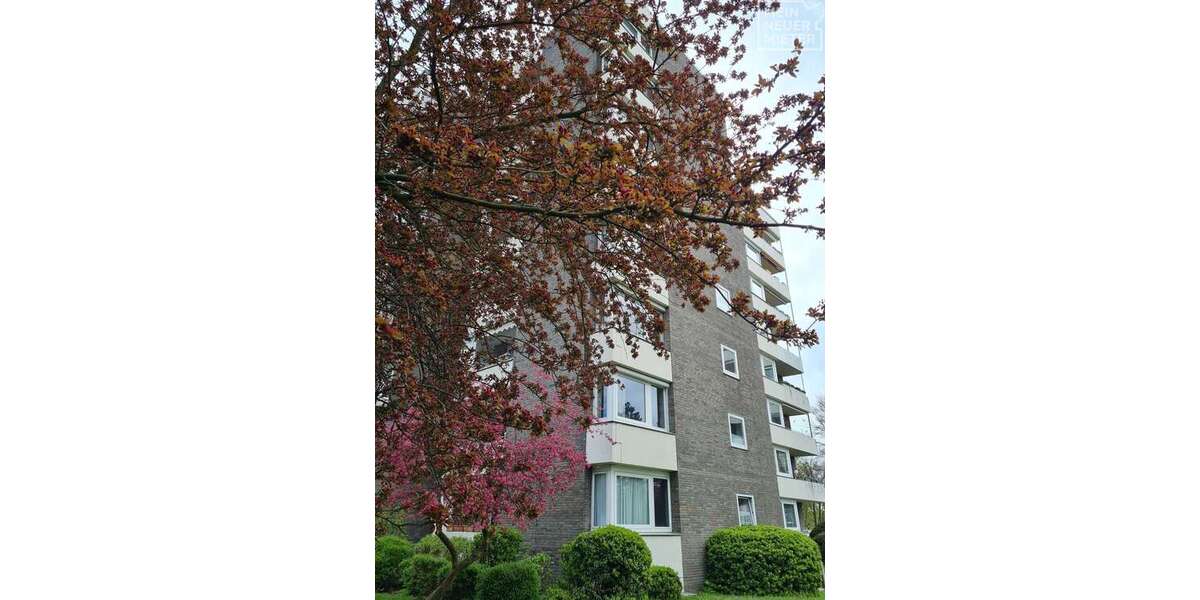 Wohnung zum Mieten in Osnabrück 780 € 79.68 m² 3 zimmer