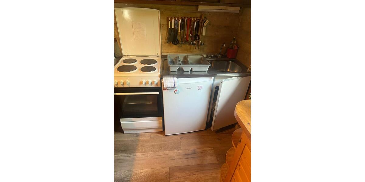 Harz Ferienhaus Blockhaus 6 Pers +Hund 2 Kamine gr Grundst. süd H 4 zimmer