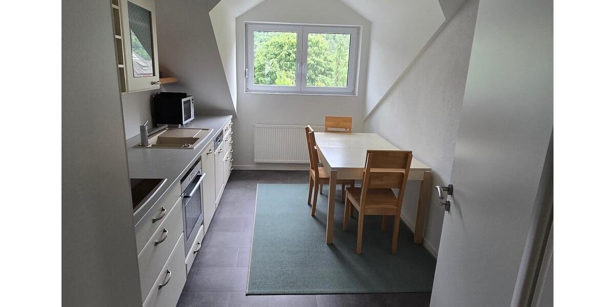 Dachgeschoßwohnung Miltenberg - 2 Zimmer, 40 m&sup2;, 420&euro; | Angebot:24770093