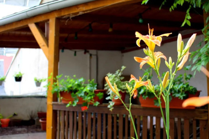 Wohnung Lunzenau - 2 Zimmer, 48 m&sup2;, 300&euro; | Angebot:24338230