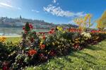 Wohnen auf Zeit Passau Mühltal - 1 Zimmer, 30 m&sup2;, 700&euro; | Angebot:26600306