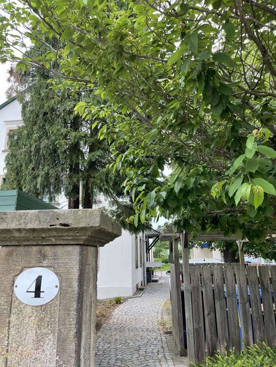 Wohnung zum Mieten in Langebrück 380 € 40 m²
