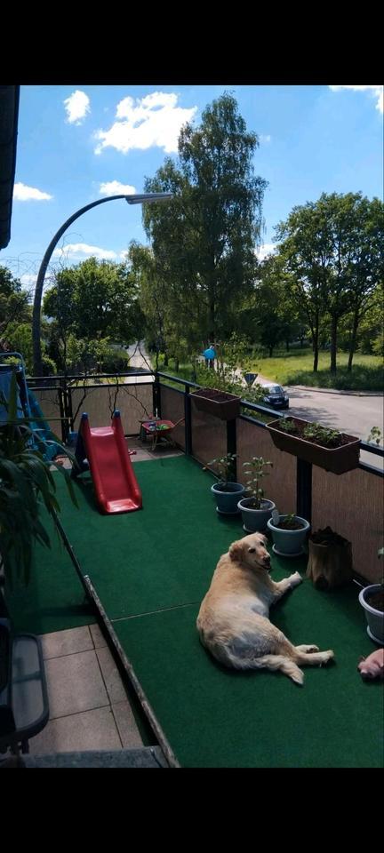 120qm Wohnung, 2 SchlafZimmer, Küche WohnEssraum, Bad