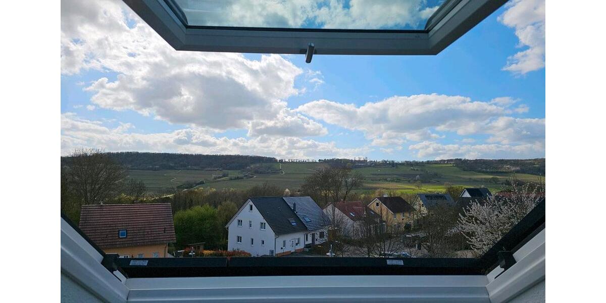 Dachgeschoßwohnung Ingelheim am Rhein - 2 Zimmer, 50 m&sup2;, 760&euro; | Angebot:25990628