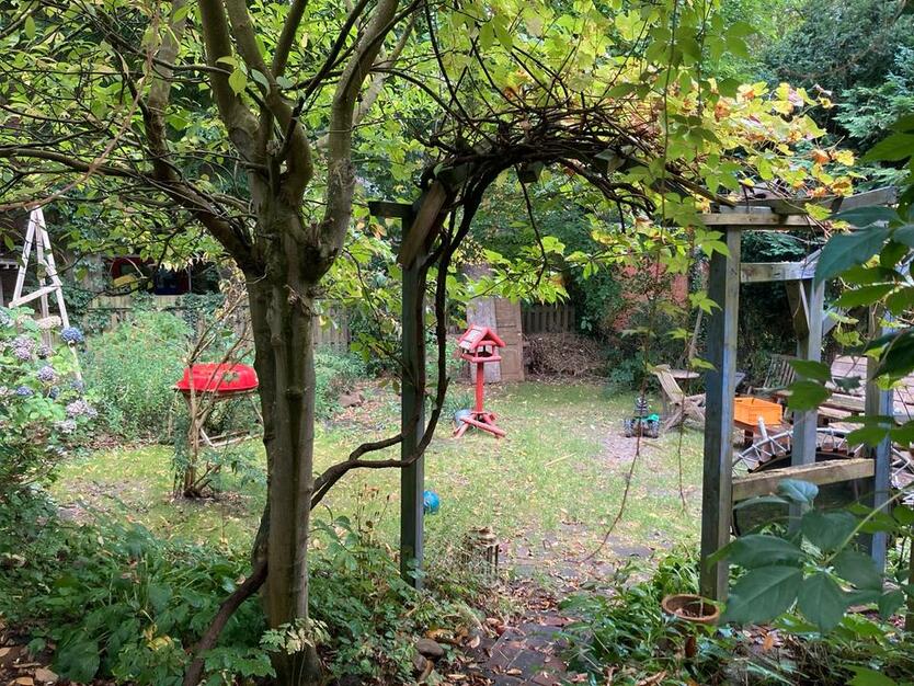 1,5 Zimmer für lebensfreudigen Zuwachs in unserem Zuhause
