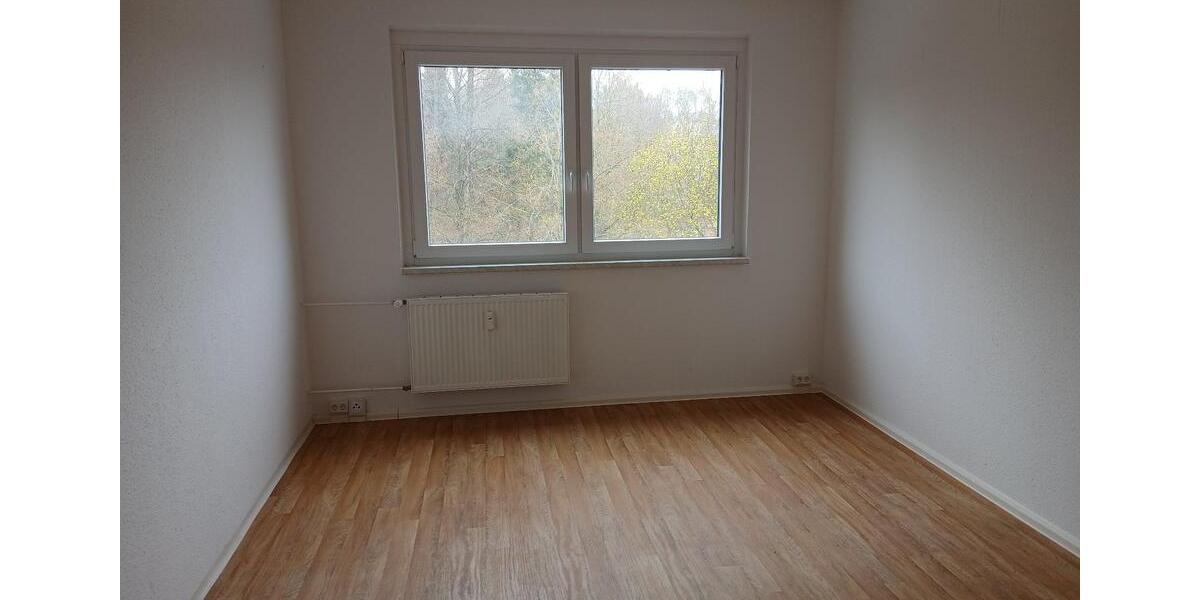 Etagenwohnung Ellefeld - 4 Zimmer, 93 m&sup2;, 435&euro; | Angebot:26368537