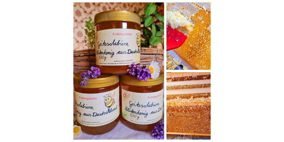 Wohnen auf Zeit Sandersdorf-Brehna Roitzsch - 3 Zimmer, 82 m&sup2;, 25&euro; | Angebot:25590391