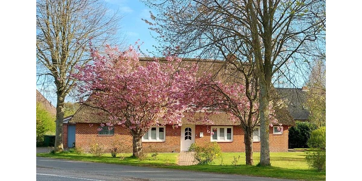 Wohnung von Januar bis April 2026 zu vermieten 2 zimmer