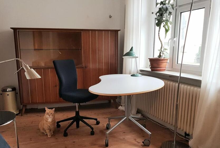 2 Zimmer in 3er-WG – Bonn Altstadt EG Altbau – 22 qm – plus Katze