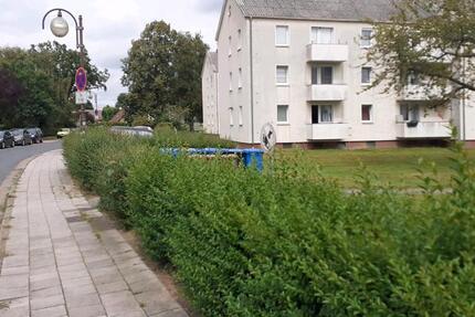 2,5 Zi WHG in Lemwerder zu vermieten zimmer