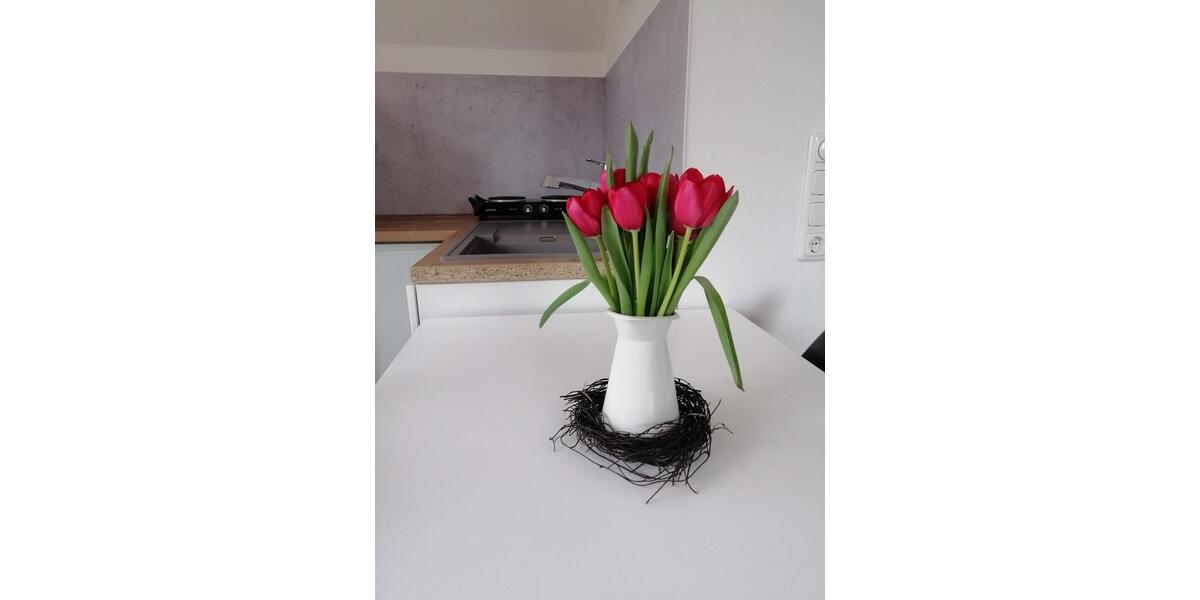 Dachgeschoßwohnung Ihlow - 1 Zimmer, 60 m&sup2;, 650&euro; | Angebot:25719903