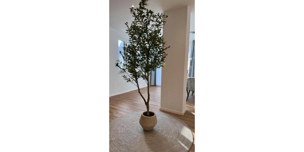 Erdgeschoßwohnung Friesenheim - 3.5 Zimmer, 114 m&sup2;, 1.510&euro; | Angebot:26253144