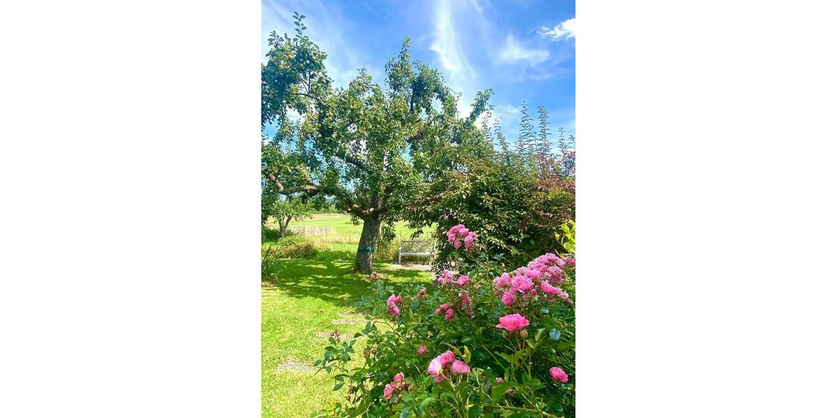 Einfamilienhaus Weimar (Lahn) - 3 Zimmer, 100 m&sup2;, 1.650&euro; | Angebot:24675927