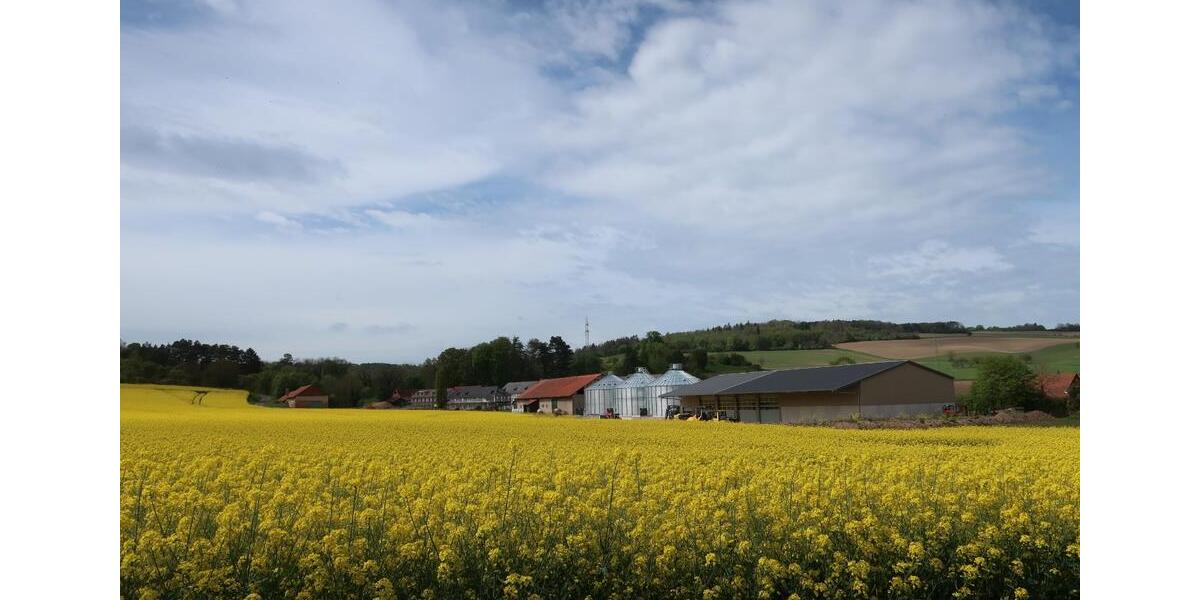 Erdgeschoßwohnung Göttingen Oststadt - 2 Zimmer, 65 m&sup2;, 741&euro; | Angebot:25783946