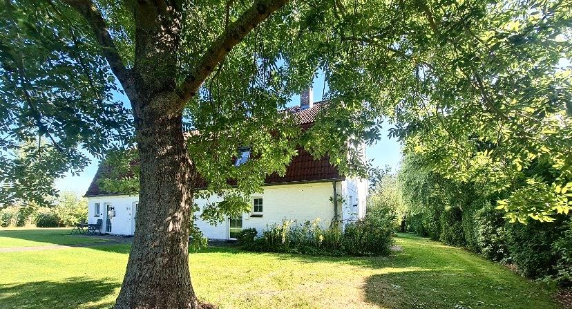 Wohnen auf Zeit Lensahn - 3 Zimmer, 65 m&sup2;, 650&euro; | Angebot:26412711
