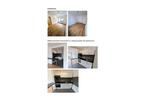 Erdgeschoßwohnung Sulzbach-Rosenberg Rosenberg - 2.5 Zimmer, 79 m&sup2;, 790&euro; | Angebot:26359844