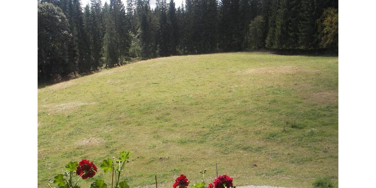 Dachgeschoßwohnung Feldberg (Schwarzwald) - 3 Zimmer, 85 m&sup2;, 680&euro; | Angebot:25807550