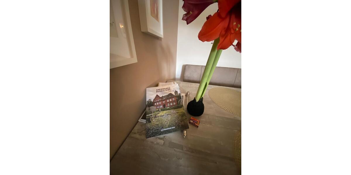 Etagenwohnung Andernach - 2 Zimmer, 70 m&sup2;, 1.350&euro; | Angebot:26253300