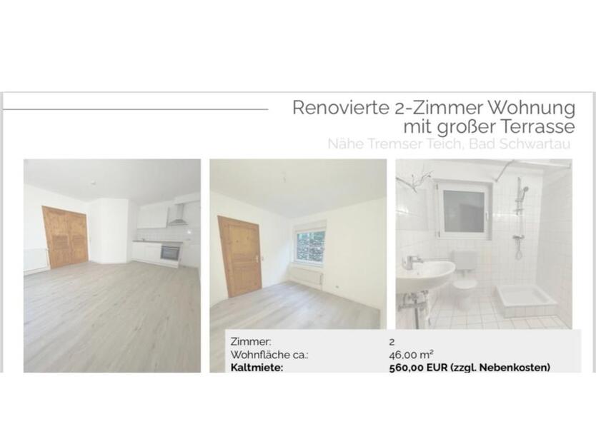Vermietung: 2-Zimmer Souterrain-Wohnung mit großer Terrasse