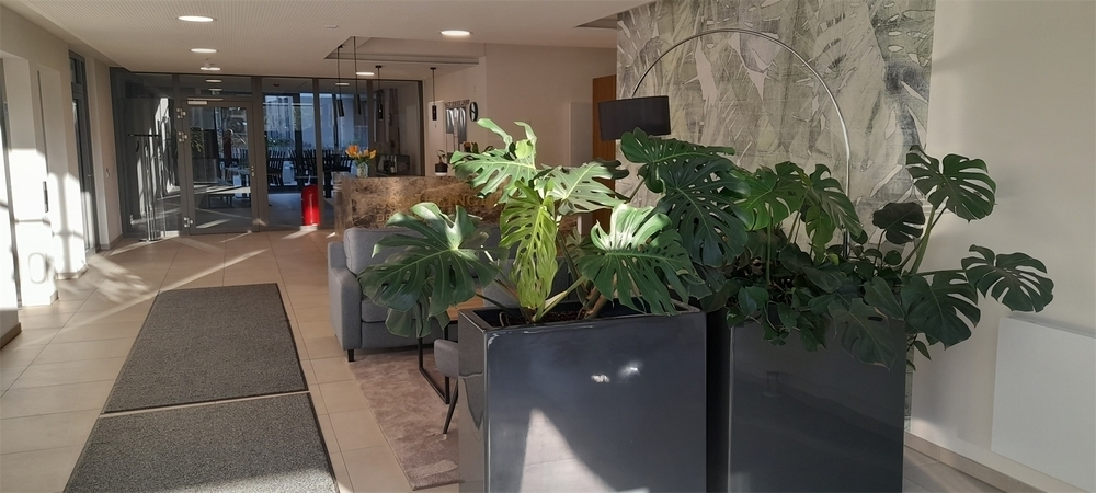 Wohnen fast wie im Hotel: 2-Zimmer-Wohnung mit Balkon, Einbauküche