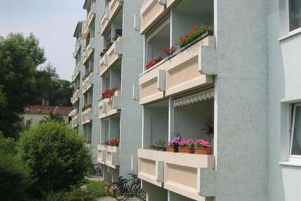 Wohnung Wurzen Altstadt - 2 Zimmer, 49 m&sup2;, 295&euro; | Angebot:26987576