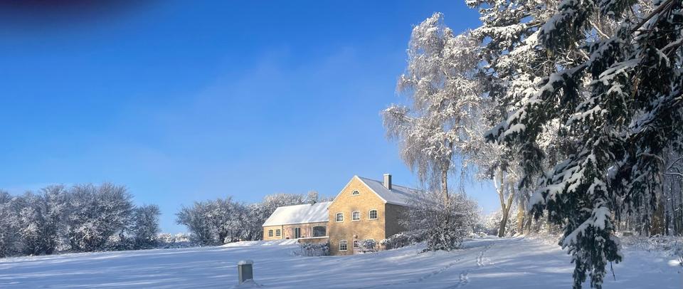 Einfamilienhaus Ulsnis - 2 Zimmer, 55 m&sup2;, 1.100&euro; | Angebot:24708360