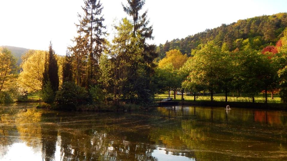 Etagenwohnung Lambrecht (Pfalz) - 1 Zimmer, 10 m&sup2;, 315&euro; | Angebot:24677646