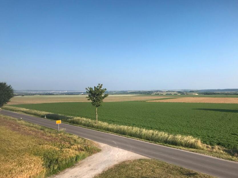 Wohnung zu vermieten