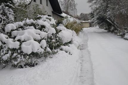 Wohnung Walkenried - 2 Zimmer, 43 m&sup2;, 600&euro; | Angebot:24832639