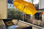 2 Zimmer in 3er-WG – Bonn Altstadt EG Altbau – 22 qm – plus Katze