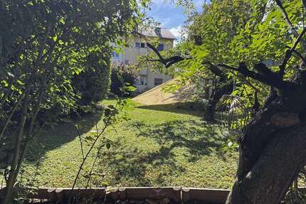 Wohnung zum Mieten in Wiesbaden 620 € 35 m²