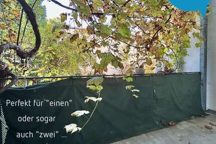 Wohnung zum Mieten in Chemnitz 280 € 65 m² 3 zimmer