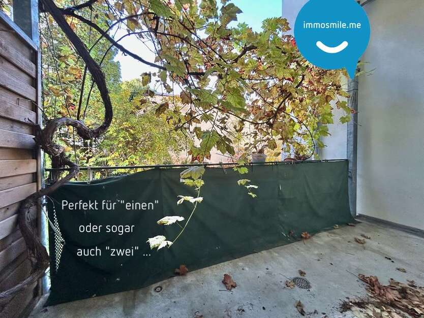 Wohnung zum Mieten in Chemnitz 280 € 65 m² 3 zimmer