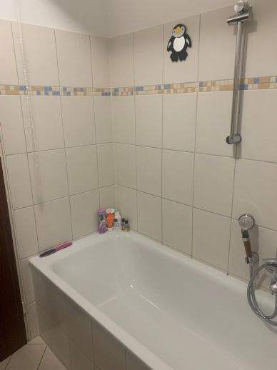 Etagenwohnung Duisburg Neudorf-Süd - 2 Zimmer, 53 m&sup2;, 390&euro; | Angebot:26712682